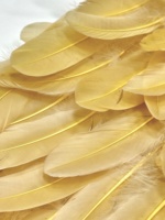 Tissu en dentelle à appliques de plumes 3D, tissu en tulle à plumes superposées pour robe de soirée, costume de scène