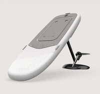 Aile adaptée aux besoins du client de feuille d'hydrofeuille d'équipement de kitesurf de carbone de sports nautiques en plein air à vendre