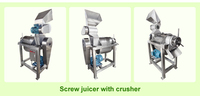 Presse à froid commerciale SUS fruits Orange grenade papaye pomme ananas jus faisant la Machine d'extraction pour les petites entreprises