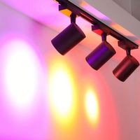 Projecteur sur rail LED DMX RGBCW 2700K-6500K 10W/20W/30W/40W CRI97 3000 Lumens 50000 Heures Garantie 5 Ans Alliage d'aluminium moderne Tuya