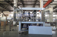 Machine de remplissage automatique de boissons gazeuses, énergisantes, non alcoolisées, en canettes en plastique et en aluminium
