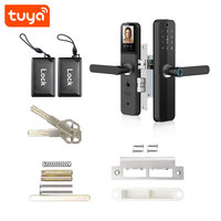 Groothandel Fabrieksprijs Tuya Wifi Vingerafdruk Slimme Deurslot Met Katten Oogcamera + Scherm PST-HR08-P