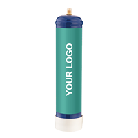 Fournisseur en gros d'outils de pâtisserie avec logo personnalisé, bouteille de gaz pour crème fouettée en acier au carbone, cylindre de gaz CO2/N2 pour crème