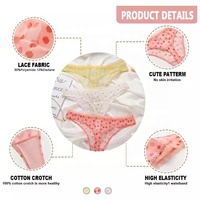 Sharicca String en dentelle et G String T Back 90% Polyamide et 10% élasthanne Tanga Sexy Sous-vêtements Culottes pour femmes
