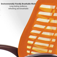 Chaise de bureau professionnelle avec accoudoirs en boucle, tissu maillé respirant, soutien lombaire, base 5 étoiles pour la maison et le bureau