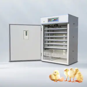 YUESHAN卸売インテリジェント恒温湿度自動インキュベーター孵化卵