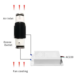 5 Gam/giờ Làm Mát Không Khí Máy Phát Điện Ozone Ống Thạch Anh Với Nguồn Điện