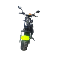 Moto électrique DAYI 1000W avec batterie au lithium portable, empattement de 1300 mm, scooter électrique