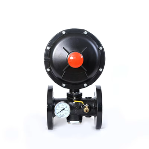 Régulateur de gaz de sécurité industriel de type RTZ-F pour brûleur de chaudière à gaz liquéfié à diaphragme GN-QY - Product Image 2