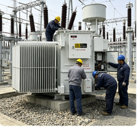 Transformateur de distribution immergé dans l'huile à haut rendement, hermétique, S13-M-30, trois phases, entrée 10 kV, sortie 0,4 kV, refroidissement ONAN