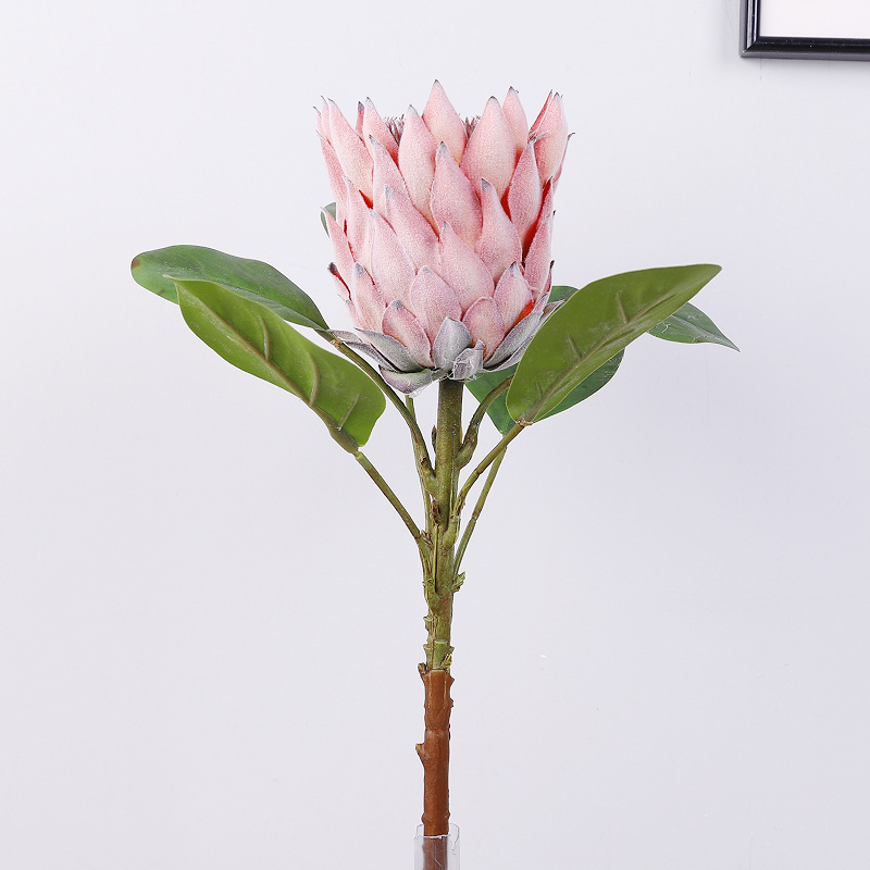 23-1A Protea [Sunset Glow]