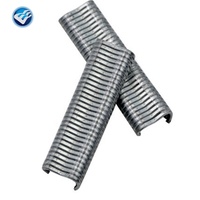 Pinces de fixation pour cages à volailles (poulets, canards, oiseaux), modèles 2.0 pour cailles et colombes, et attaches pour lapins, 600 pièces, galvanisées, pour ossature, 17*27*38cm, ISO