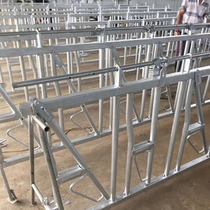 Équipement d'élevage bovin très demandé : Barrière de contention pour bovins durable, galvanisée à chaud, facile à nettoyer - Product Image 3