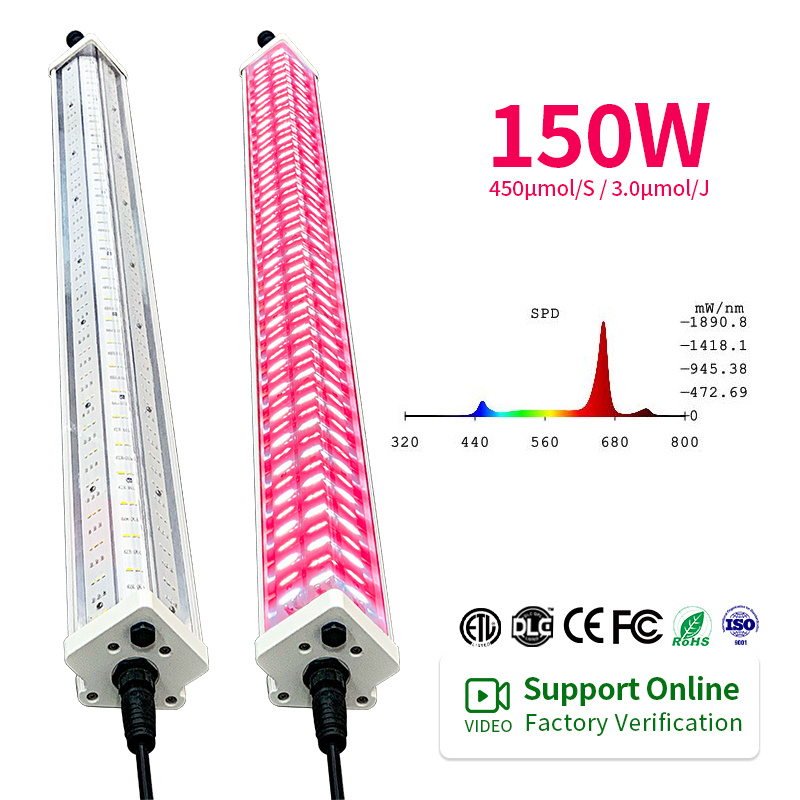 ANDY 3 0umol J LED Grow