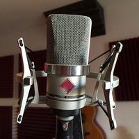Tlm102 Condensateur Microfoon Hart Type Studio Set, Nikkel, Geschikt Voor Muziekproductie Opnemen Zang Streaming