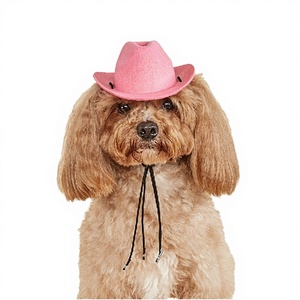 Chapeau de cowboy personnalisé pour animaux de compagnie, accessoires de costume pour chien réglables, chapeau de fête de style western pour petits chiens et chats, cosplay d'Halloween - Product Image 6