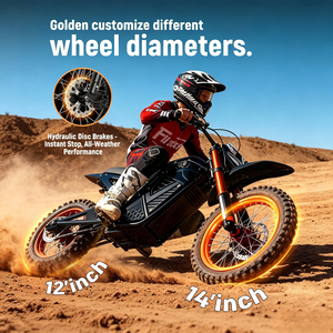 Moto électrique à transmission intermédiaire haute vitesse, puissance de pointe 3000W, capacité de 265 LBS, pour adultes, 48V/72V, moto tout-terrain électrique - Product Image 3
