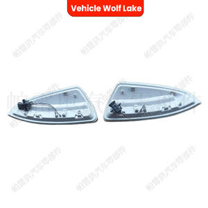Luces de señal de giro para espejo retrovisor de vehículo Wolf Lake, para Mercedes Benz W204 C250 C300 C350 C63, lámpara halógena - Product Image 1