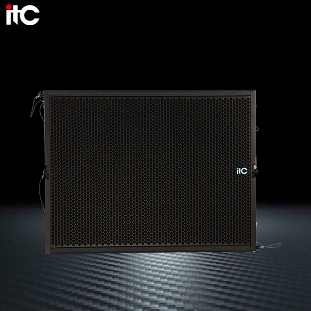 Professional Neodymium Line Array Speakers 24 Inch Passive System for Stage Use with Wooden Cabinet