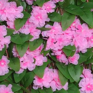 Pas de quantité minimale de commande <span class=keywords><strong>en</strong></span> stock Clôture solaire PINK BLOSSOM Clôture artificielle extensible avec lumière LED pour la décoration - Product Image 3