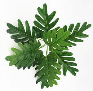 Искусственные растения: пластиковые элементы для фитостен, ламинированные текстурированные листья 30-100 см для интерьера - Product Image 5