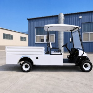 Voiturette de <span class=keywords><strong>golf</strong></span> électrique nouvelle conception, couleur personnalisée, <span class=keywords><strong>2</strong></span> places, transport spécial extérieur avec porte – Meilleures ventes - Product Image 1