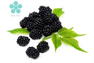 Поставка водорастворимого сладкого сублимированного фруктового порошка ежевики - Product Image 3