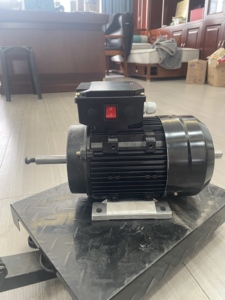 Motore Elettrico Monofase <span class=keywords><strong>a</strong></span> Induzione con Doppio Condensatore <span class=keywords><strong>da</strong></span> 0,55KW 0,75KW 1,1KW per Pompa <span class=keywords><strong>a</strong></span> Vuoto - Product Image 3