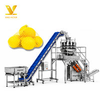 Automatische citrusnetzakverpakkingsmachine voor het verpakken van citroenen, limoenen en sinaasappels