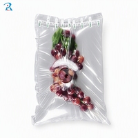 Op maat gemaakte opblaasbare tas-in-tas, luchtdichte ademende kussenluchtzak voor transportbescherming van vers fruit, druiven & frambozen