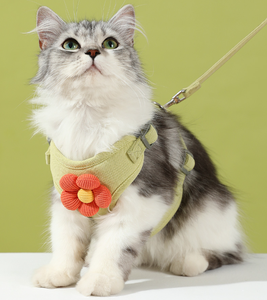 Correa para mascotas de dibujos animados más vendida, correa ajustable cómoda para exteriores, correa para gatos y perros con chaleco a prueba de Escape - Product Image 2