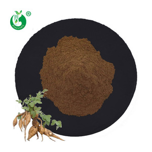 Pincredit Atacado Puerarina de Alta Qualidade 30% 98% Extrato de Raiz de Kudzu em Pó - Product Image 2