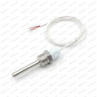 Sensor de Temperatura RTD PT100 de Doble Chip Personalizado, Clase B, con Rosca M12