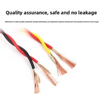 Feuerbeständiges PVC-Kupfer-RVS-Drahtpaar nach Nationalstandard, 2-adrig, 0,75mm 1mm 1,5mm 2,5mm 2 AWG