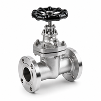 Vanne à opercule à bride en acier inoxydable LUOKEFM Z41H CF8 Classe 150 avec joint PTFE vierge - Plage de température industrielle de -29 à 425 °C