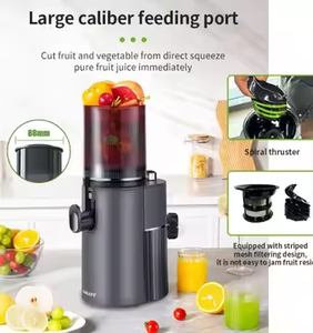 Thương mại Báo Chí lạnh dọc lớn Miệng juicers extractors máy vắt nước trái cây chậm máy ép trái cây - Product Image 2