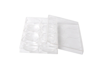 Plaques de culture cellulaire jetables en plastique transparent à 6 puits, à faible adsorption, Alpha Plus Laboratory Supplies
