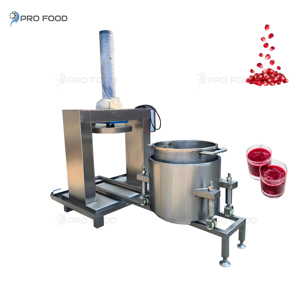 Gran oferta, máquina exprimidora hidráulica comercial de prensa en frío para exprimidor puro, verduras, limón, frutas, uva, vino, cereza, automática - Product Image 4