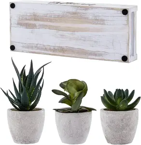 Manufacturer Retro White Home Decorative Rectangle Wooden Plant Box For Vegetable Succulent Garden Modern Artificial Flower