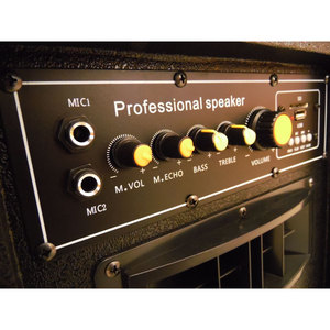 Web Professional <b>Speaker</b> 100W Max Amplified With <b>Usb</b> And Bluetooth - Product Image 5