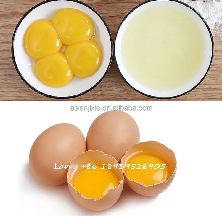 Thực phẩm cấp Trứng phá vỡ máy tách lòng đỏ trứng trắng Máy tách thép không gỉ Dây chuyền Làm rửa trứng