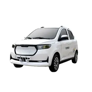 Adults Electric Vehicle Multi-functional EEC Approval New Energy Electric Vehicle 4 Wheel Car Low Speed Electric Car Adult Mini Car