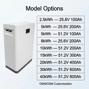 10kWh LiFePO4 <b>Battery</b> 51.2V Wall Mount Solar Storage System Home Energy <b>Backup</b> Lithium Ion Power Wall CAN RS485 Communication - Product Image 6