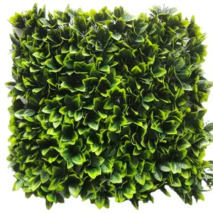 Mur vert en plantes vertical, décoration d'extérieur pour le jardin, meilleure vente,