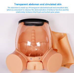 F50 tiên tiến giao hàng kỹ năng manikin PVC được sử dụng cho cơ bản sản khoa đào tạo kỹ thuật cho y tá y tế trường học cho bệnh viện - Product Image 6