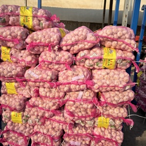 Ajos Chinos: Ajo Blanco Fresco de Cadena de Frío, Entregado Directamente de Fábrica China, Venta al por Mayor de Ajo Fresco - Product Image 1