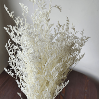 70 grammes de bouquet de fleurs séchées pour la décoration de mariages, bureaux et fêtes, pour l'arrangement floral domestique