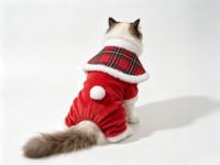 Combinaison de Noël pour animaux de compagnie, vente en gros d'usine, costume de Père Noël en peluche à carreaux rouges avec col en fourrure pour petits chiens et chats
