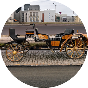 Factory Ultra-low Price Customized <b>Special</b> <b>Transportation</b> Vehicle Horse-drawn Carriage Electric Sightseeing Carriage - Product Image 3