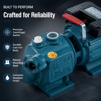Pompe auto-amorçante monophasée avec double condensateur et interrupteur centrifuge